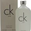 Calvin Klein CK One Eau De Toilette 100ml Spray