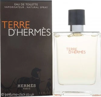 Hermès Terre D'Hermès Eau De Toilette 100ml Spray