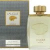 Lalique Pour Homme Lion Eau De Parfum 125ml Spray